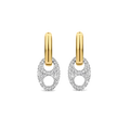 Golden Seal Earrings